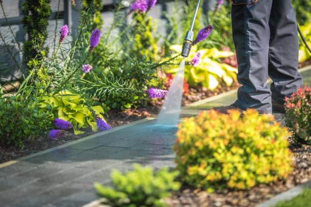  Manteno, IL Pressure Washing Pros